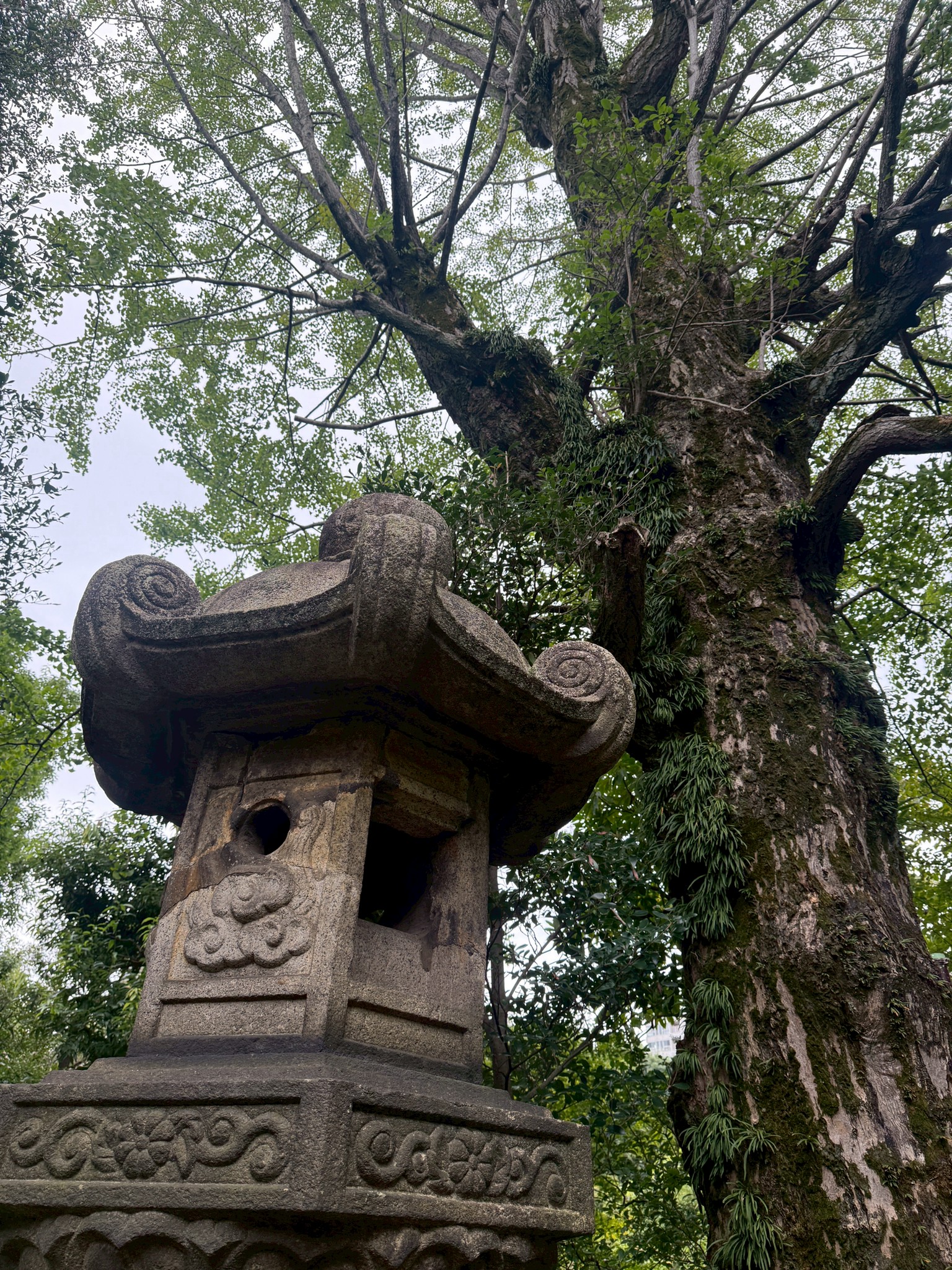 根津美術館の日本庭園