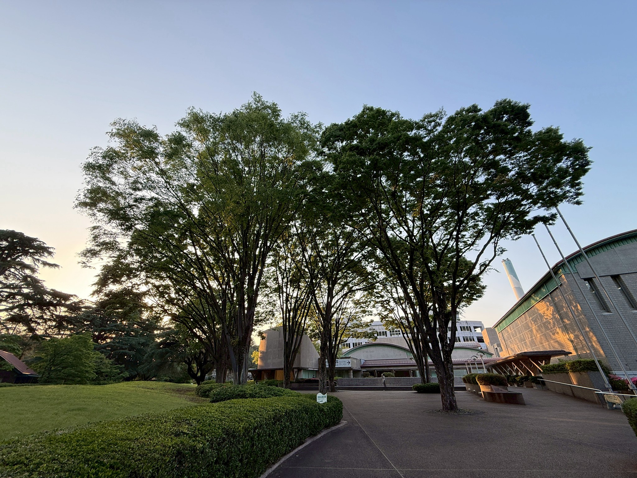 世田谷美術館