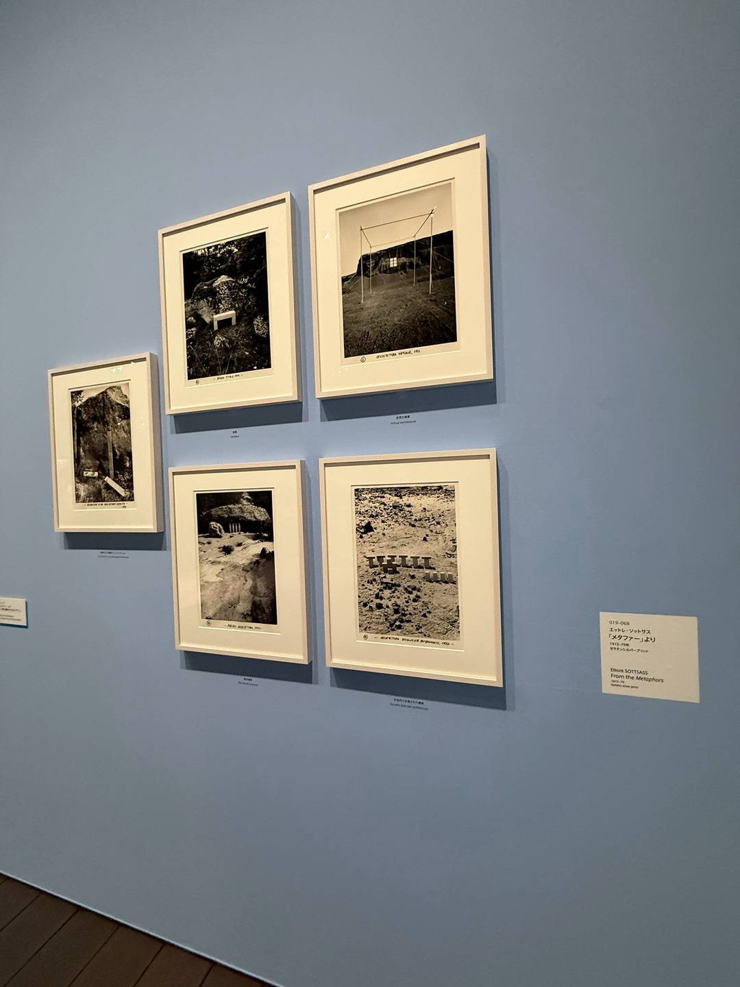 エットレソットサス展
