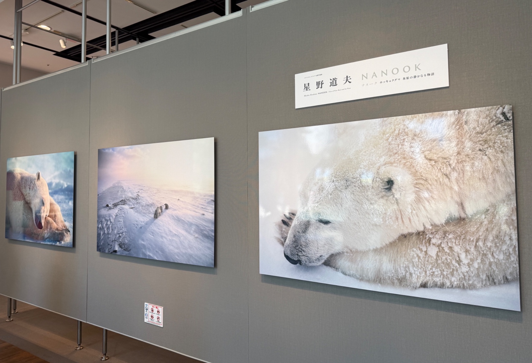 写真展・グラフィックデザインとかき氷🍧のカバー画像